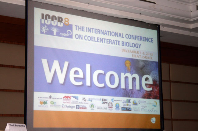 ICCB2013_05