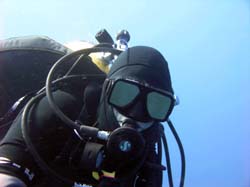 tim (Abaco Adventures Diving Center)