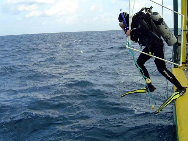 scientific diving23-May-032-Stefano